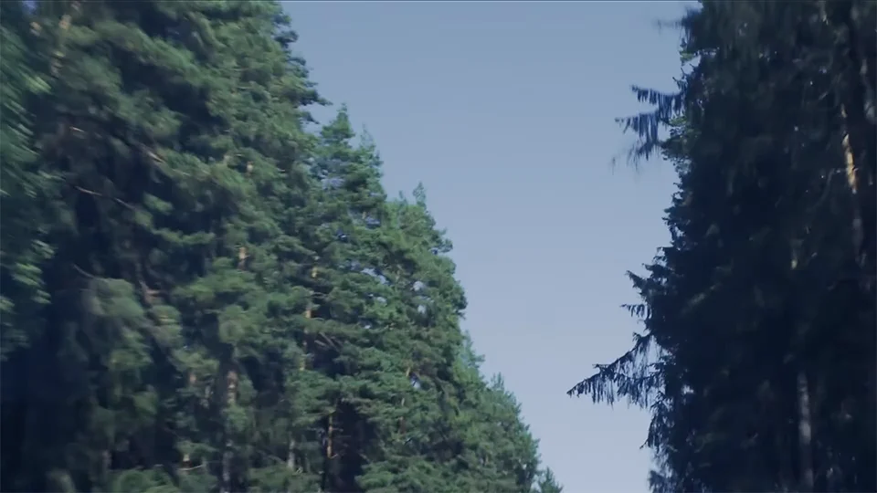 Green trees and blue sky in a documentary from Cologne for Siemens